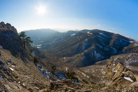 Winter mountain landscape Stock Photos