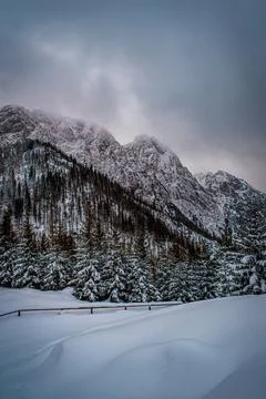 A winter mountain landscape 스톡 사진
