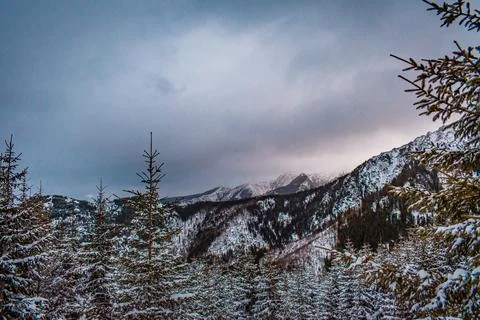 A winter mountain landscape 스톡 사진
