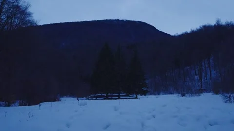 Winter Mountain Landscape with Pine Trees and Deep Snow 4K Stock Footage 328259232