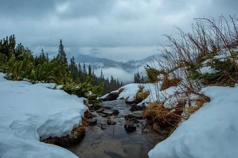 Winter mountain landscape with stream Stock Photos