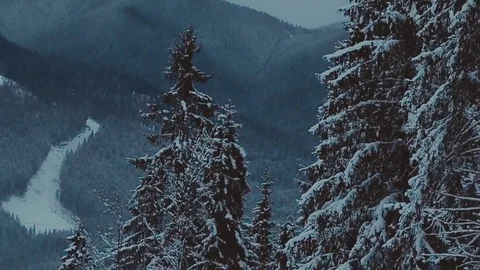 Winter mountain panorama with ski slopes. Spruce and mountain Vidéo 72147310