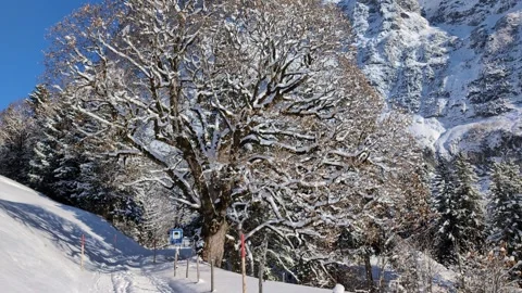 Winter mountain path in Swiss alps, Grindelwald Switzerland Stock Footage 321783429