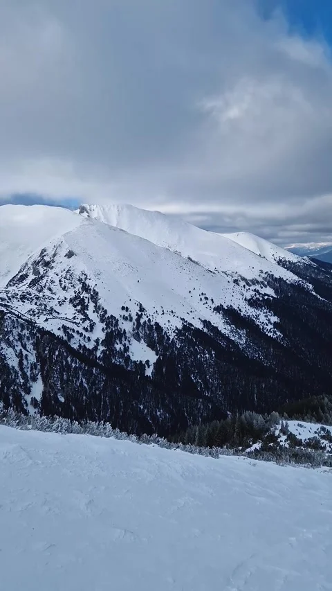 Winter mountain peaks covered with white snow and coniferous forest on the hills Stock Footage 263975475
