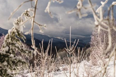 Winter mountain peaks viewed through frozen, ice-covered tree branches. Dra.. Stock Photos