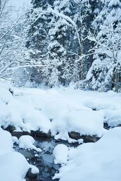 Winter mountain river after the snowfall 写真素材