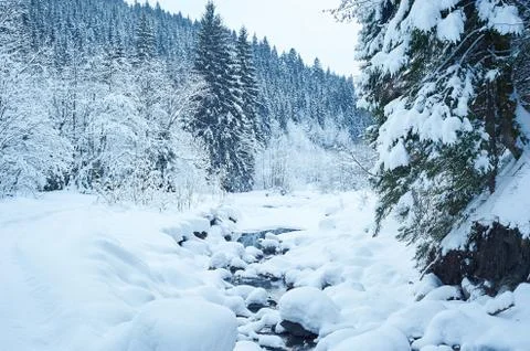 Winter mountain river after the snowfall 写真素材