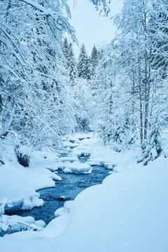 Winter mountain river after the snowfall 写真素材