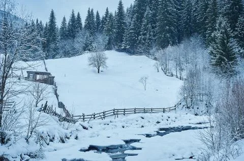 Winter mountain river after the snowfall Stock Photos