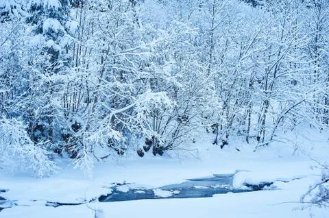 Winter mountain river after the snowfall 写真素材