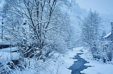 Winter mountain river after the snowfall 写真素材