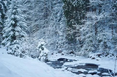 Winter mountain river after the snowfall Stock Photos