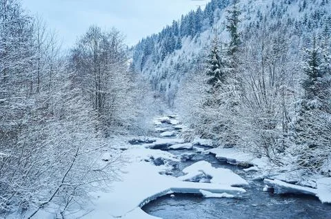 Winter mountain river after the snowfall Stock Photos
