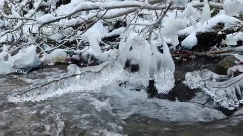 Winter. mountain river. branches of trees covered with ice hang over water Stock Footage 167291673