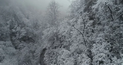 Winter mountain river Stock Footage 85434813