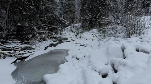 Winter Mountain River Surrounded By Trees And Banks Of Snow-Covered Vídeo Stock 121208265