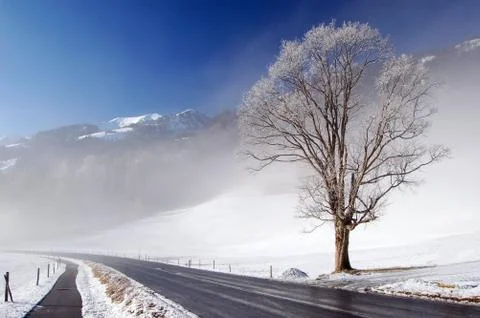 Winter mountain road  Stock Photos