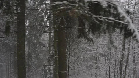 Winter Mountain Road with Snow Idling Stock Footage 279972018