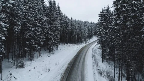 Winter mountain road surrounded by snowy trees. Stock Footage 121384331