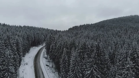 Winter mountain road surrounded by snowy trees. Stockbeeldmateriaal 121384447