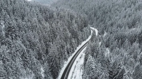 Winter mountain road surrounded by snowy trees, aerial view. 動画素材 121482961