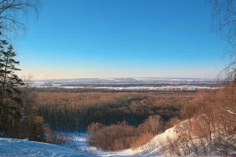 Winter mountain scenery with trees Stock Photos