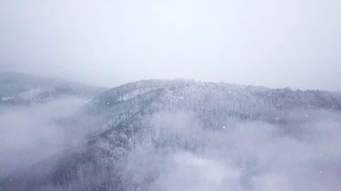 Winter mountain snowy forest in the clouds Stock Footage 123363443