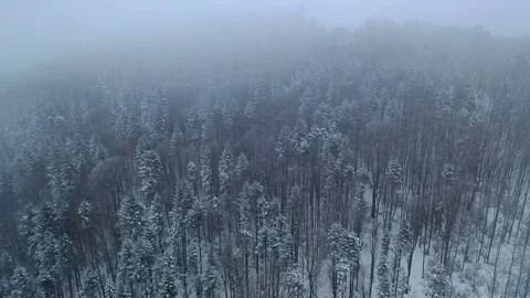 Winter mountain snowy forest in the clouds Stock-Footage 123365440