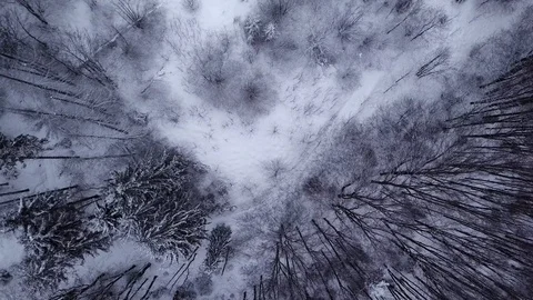 Winter mountain snowy forest in the clouds Stock Footage 123365536