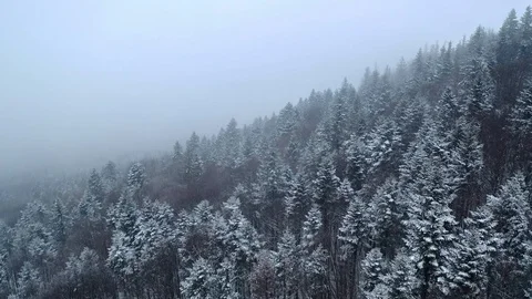 Winter mountain snowy forest in the clouds Stock Footage 123365958