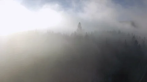Winter mountain snowy forest in the clouds Stock Footage 125454774