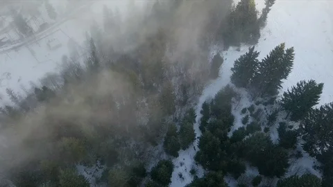 Winter mountain snowy forest in the clouds Stock Footage 125454983