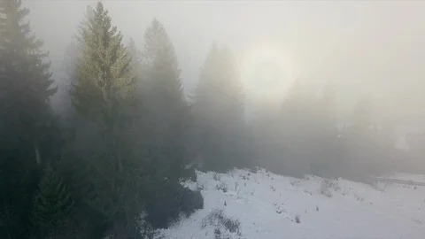 Winter mountain snowy forest in the clouds Stock Footage 125455254