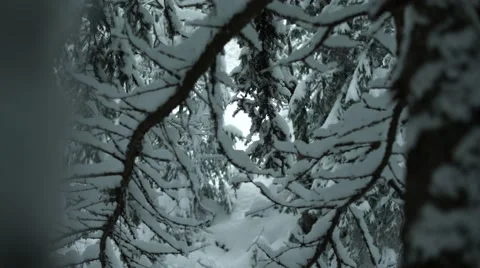 Winter Mountain Spring in the Snow Panning 4K Stock Footage 59774955