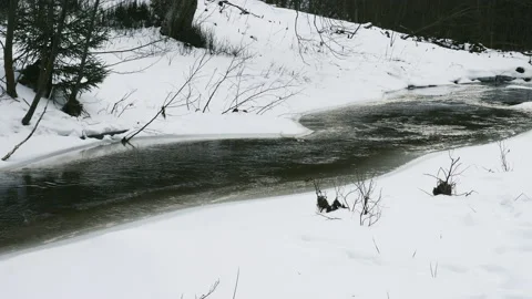 Winter Mountain Stream. Mountain River. Beauty in nature.Winter Landscape. 動画素材 211709240