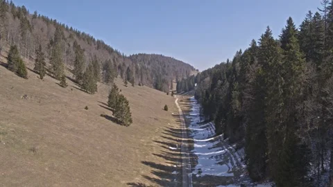 Winter mountain valley with grass, pine trees, snow and a gravel road, aerial 4k Video stock 130191004
