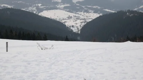 Winter in mountain, vertical panorama. Stock Footage 72773593