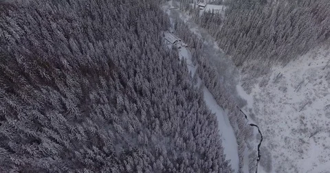 Winter In The Mountains And Forest Filled With Snow Stock Footage 84930300