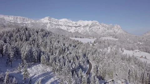 Winter Mountains and Forest  Vidéo 88707031