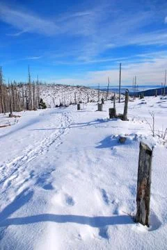 Winter mountains blue sky Stock Photos