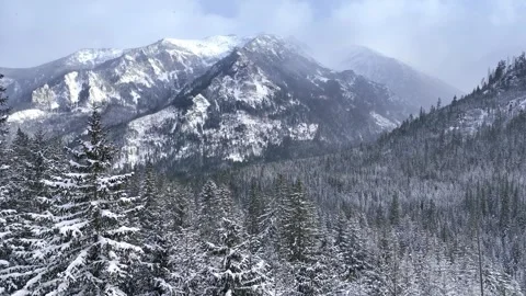 Winter mountains drone view, snow falling in the Alps, aerial view of frosty Stock Footage 297879235