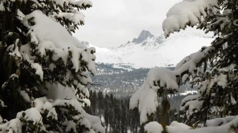 Winter. Mountains. Stock Footage 29735972