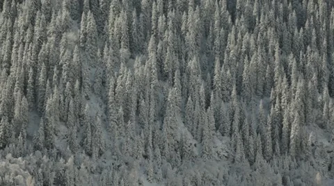 Winter mountains Stock Footage