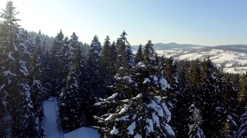 Winter in the mountains Stock Footage 129421918