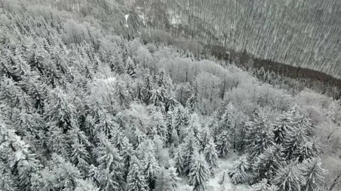Winter in the Mountains Stock Footage 148075485