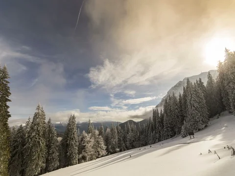 Winter mountains with forest Video stock 83236388