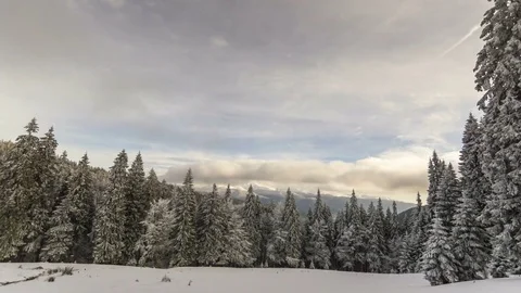 Winter mountains with forest Stock Footage 83620897