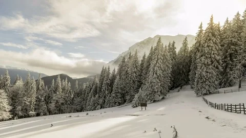 Winter mountains with forest Stock Footage 83621104