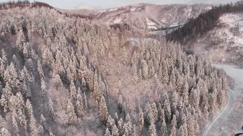 Winter in the mountains. Forest in the snow. Shooting from a quadcopter. Stock Footage 167564460
