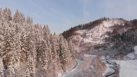 Winter in the mountains. Forest in the snow. Shooting from a quadcopter. Stock Footage 167613239
